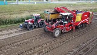 Grimme Varitron 470 | Aardappels Rooien | Potato Harvest | Case | 2022