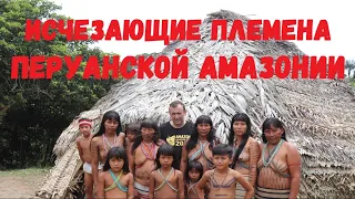 Part 1 Endangered tribes of the Peruvian Amazon. Ethnoexpedition to the Matses Indians.