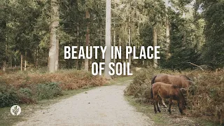 Beauty in Place of Soil | Audio Reading | Our Daily Bread Devotional | May 26, 2024