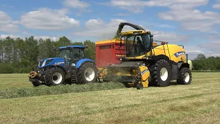 Gras hakselen door loonbedrijf ten Cate met New Holland FR500 en 3 trekkers (2023)