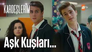 Berk, Asiye ve Doruk'a sataşıyor! - Kardeşlerim 14. Bölüm