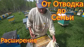 От Отводка до Семьи! Расширение, Часть 2