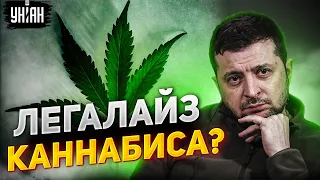 🔥Легализация каннабиса. Зеленский сделал важное заявление