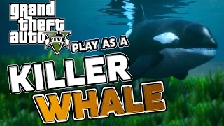 GTA V: Play as a Killer Whale, Peyote Plant Location