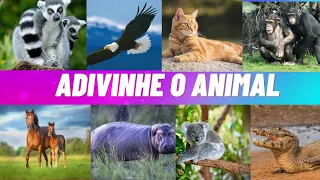 ADIVINHE 100 Animais em 10 minutos | Adivinhe o Animal #1| Amora Quiz