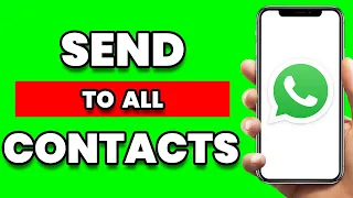 How To Send Message To All Contacts On Whatsapp (2024)