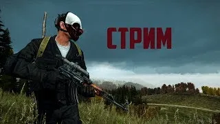 #DayZ выживание по хардкору с вами! / standalone