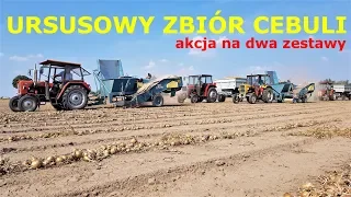 Zbieranie Cebuli z Udziałem 5 Ciągników / Kilka Słów Po 3 Miesiącach Przechowywania VLOG