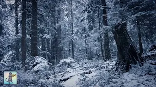 Beautiful Falling Heavy Snow & The Best Relaxing Meditation Music