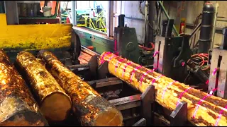 Incredible Sawing Lines with Automatic Sawmill Machines / Amazing Modern Woodworking Factory