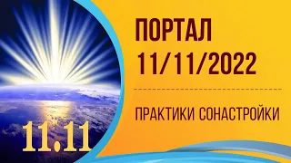 Практика сонастройки с Порталом 11.11.2022/ Инна Рыжкова