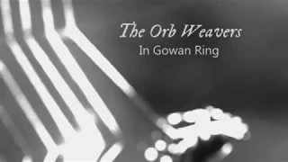 "Orb Weavers" from 'Hazel Steps through a Weathered Home' by IN GOWAN RING