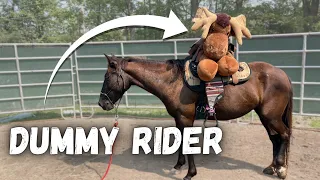 MUSTANG'S FIRST RIDER! Mr Moose rides Raven!