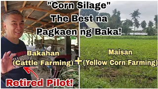 Retired Pilot, Nahanap ang "Happiness" sa Farming! | Farm Visit sa Cattle Farm ni Sir Mark Lotilla