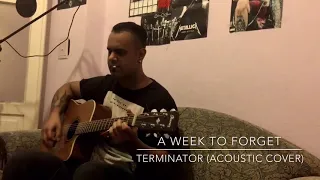 Terminator Theme - Acoustic Cover