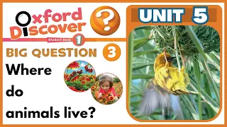 Oxford discover 1 | Unit 5 | Animal homes