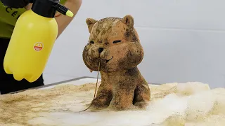 Muddy CAT -  The Most Perfect Teddy Bear Cleaning Craft With A Toothbrush - Satisfy Clean