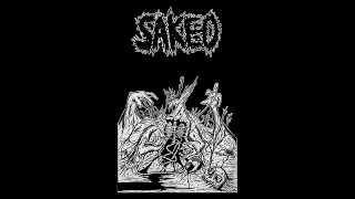 SAKEO - Sakeo (Full EP) [2023 Fastcore / Powerviolence]