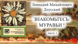 Г.М. Длусский, "ЗНАКОМЬТЕСЬ - МУРАВЬИ!", ч. 1