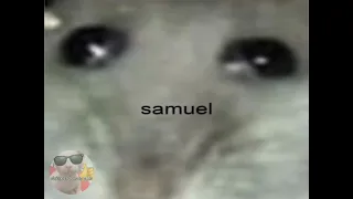 samuel hamster meme