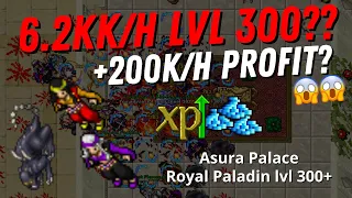 Tibia | MELHOR HUNT PRA RUSHAR! Royal Paladin lvl 300+ Asura Palace fazendo 6,2kk/h de XP e +200k/h