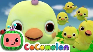 Five Little Birds 2  | CoComelon Nursery Rhymes & Kids Songs