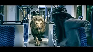 Lion Fight Full Adventure Movie | Hollywood Latest Release Superhit Hindi Dubbed Full Action Movie