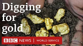 Why can't I find gold in my back yard? - CrowdScience, BBC World Service