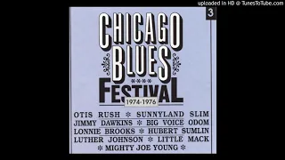 Chicago Blues Festival (1974-76) She's My Baby - Luther ' Snake Boy ' Johnson