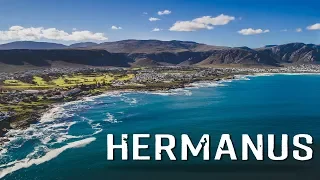 HERMANUS