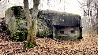 Exploring Abandoned Bunkers Along Beautiful Nature Trails!From Darkovice to Šilheřovice, Czechia  4K