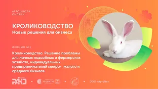 Лекция 1. Кролиководство. Решение проблемы для личных подсобных и фермерских хозяйств