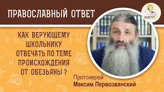 Как верующему школьнику отвечать о теме происхождения от обезьяны? Протоиерей Максим Первозванский