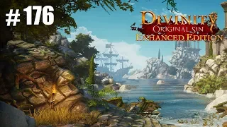 To Save The End Of Time   Divinity Original Sin Enhanced Edition #176