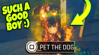 How to get a POWERFUL HELLHOUND PET (Doghouse Locations) MW3 Zombies.