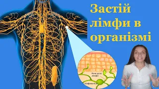 Хронічний застій лімфи в організмі, ознаки як проявляється лімфатичний застій Що робити як лікувати