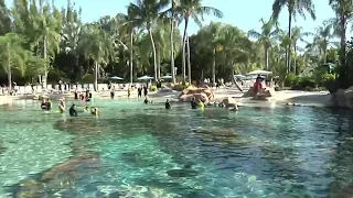 Discovery Cove invites guests with autism to swim with dolphins