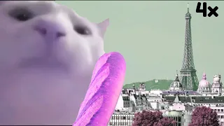 French Vibing Cat (Speed 0.25x-4x)