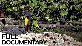 How the Chocolate Industry Still Profits from Child Labor | ENDEVR Documentary