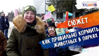 КАК ПРАВИЛЬНО КОРМИТЬ ЖИВОТНЫХ И ПТИЦ В ПАРКАХ | Корреспондент Кирилл Феклинов |