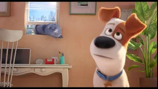 The Secret Life of Pets – Two Kinds of Pet Owners Dog HD   Illumination