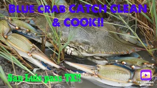 Blue crab ￼Catch clean and cook!!            San Luis pass TX!!