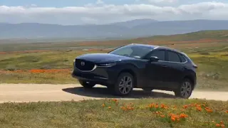 2020 Mazda CX-30 Review