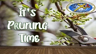 DFWAC - It's Pruning Time