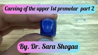 Carving of the upper 1st premolar (part 2) by Dr. Sara Shogaa