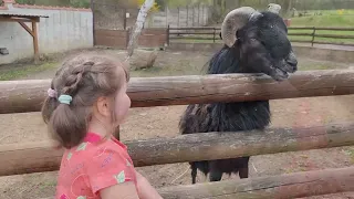 Чехия Зопарк в Усти-над-Лабем