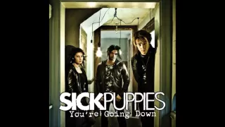 You're Going Down By Sick Puppies Explicit