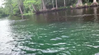 Ocklawaha River meets Silver Springs