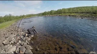 Salmon & Grayling, Lapland, Finland 2018.