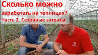 Тепличный бизнес, часть 2. Сколько нужно потратить на гектар теплиц?